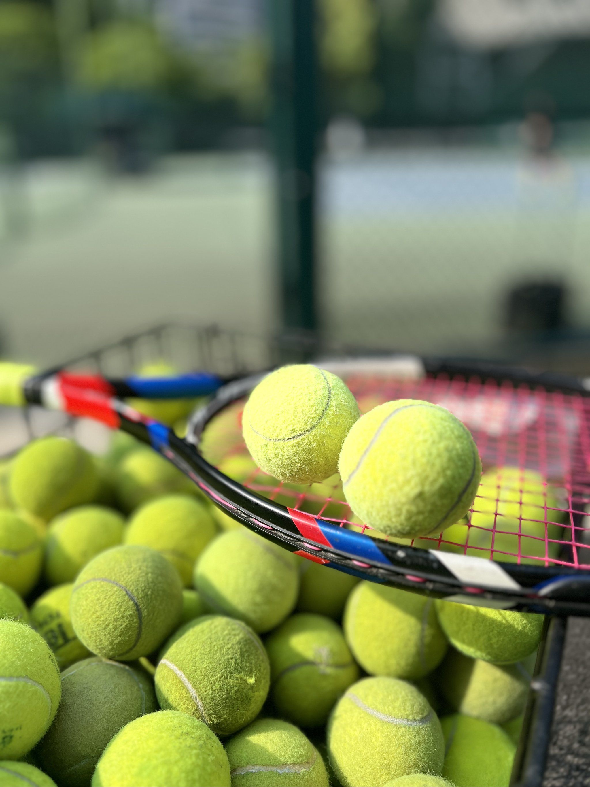 谁最有机会 谁最有机会